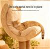 Solid Wood Cat Tree with Integrated Bed and Capsule Climber - Space-Saving Design for Small and Large Homes