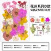 Natural Dried Flowers Pack For Diy Resin Pressed Flower Art