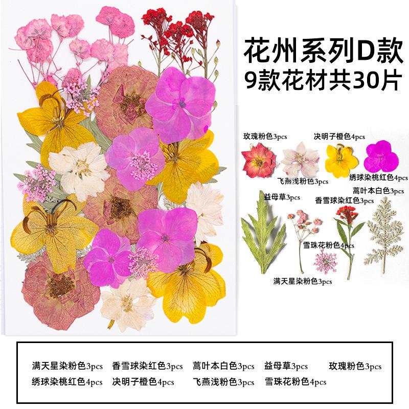 Natural Dried Flowers Pack For Diy Resin Pressed Flower Art