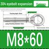 Stainless Steel 304 Eyebolt Expansion Nail with Fixing Loop