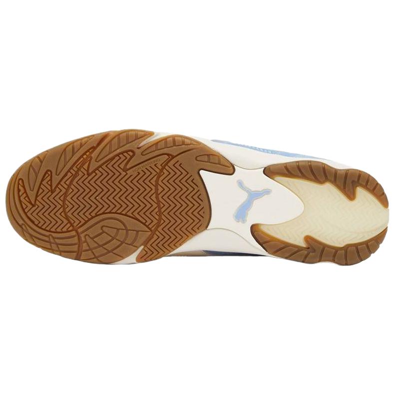 Puma King Indoor Royalty Day Dream Frosted Ivory Unisex Sneakers Blue 401684-01