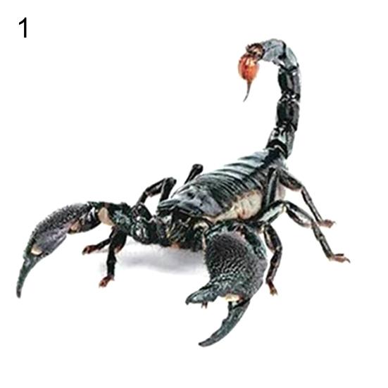 3D Scorpion Animal Print Car Auto Trunk Body Bumper Window Decor Decals Sticker