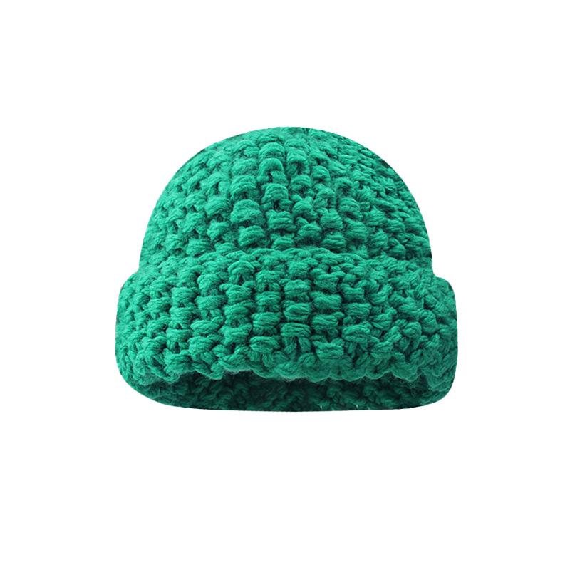 Color versatile thick thread knitted pineapple pattern wool hat women's autumn and winter thickened warm face small knitted hat
