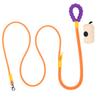 New hot selling colour dog leash dopamine walking pet p-leash, large, medium and small dog colour gradient leash dog poop bag.