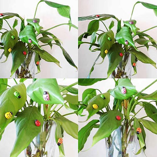 100Pcs Ladybugs Smooth Charming Colorful 3D Ladybugs Ornaments