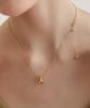 Tatiana (Silver 925) Stella Necklace Nz2140
