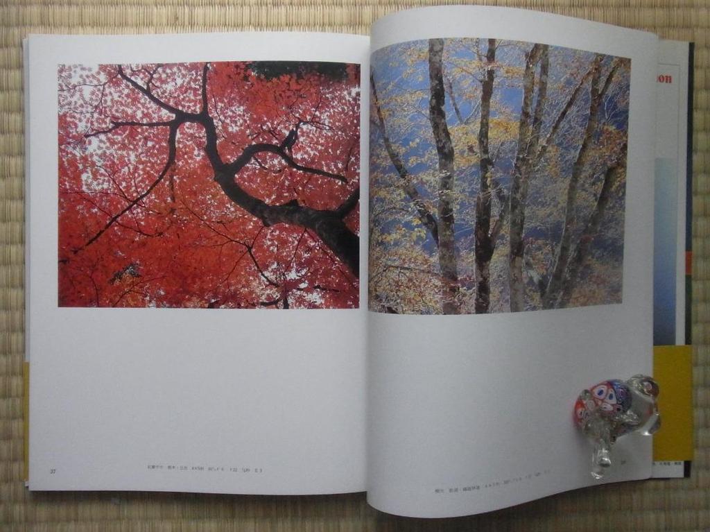 [USED] Showa Photo Complete Works SERIES13 Shinzo Maeda Art Photo Collection Asahi Shimbun