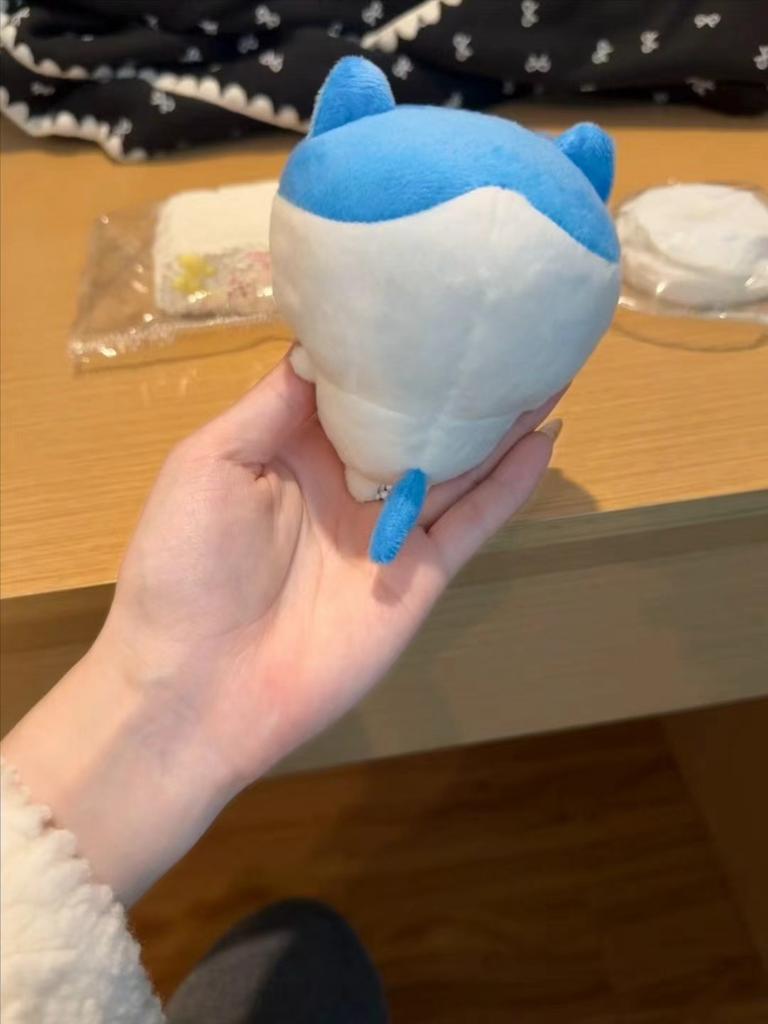 Chiikawa Funny Plush Keychain – Error Hachiware & Silly Usagi Dolls – Kawaii Bag Pendant Stuffed Toy for Fans & Collectors