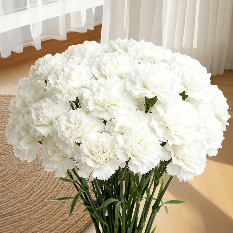 20Pcs Faux Carnations Eco-friendly Plastic Fake Flowers for Wedding Bouquet Mother's Day Gifts