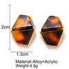 Women Retro Punk Style Simple Acrylic Irregular Leopard Pattern Earrings