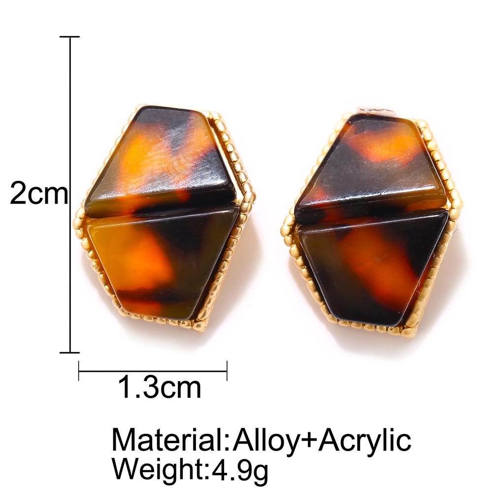 Women Retro Punk Style Simple Acrylic Irregular Leopard Pattern Earrings