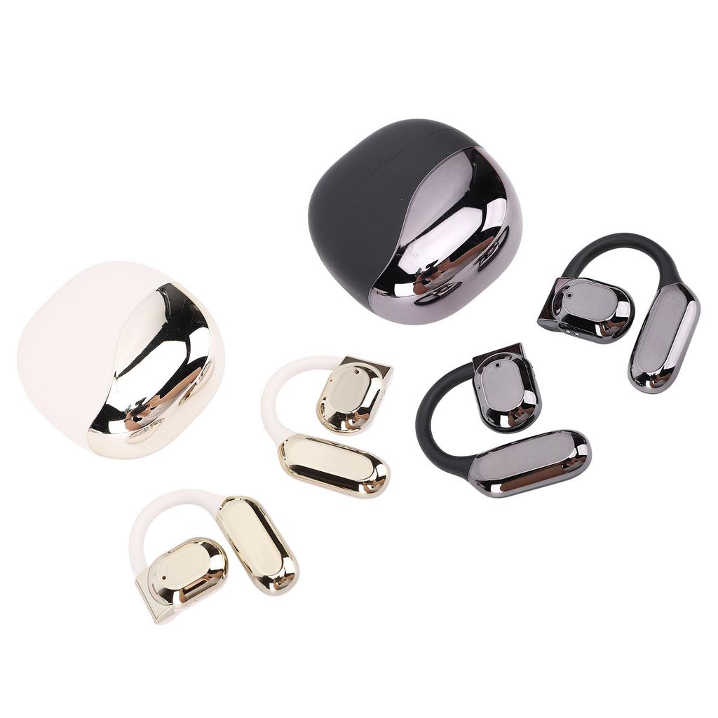 Translation Earbuds Earhook Active Noise Reduction Wireless Bluetooth AI Language Translator Earbuds