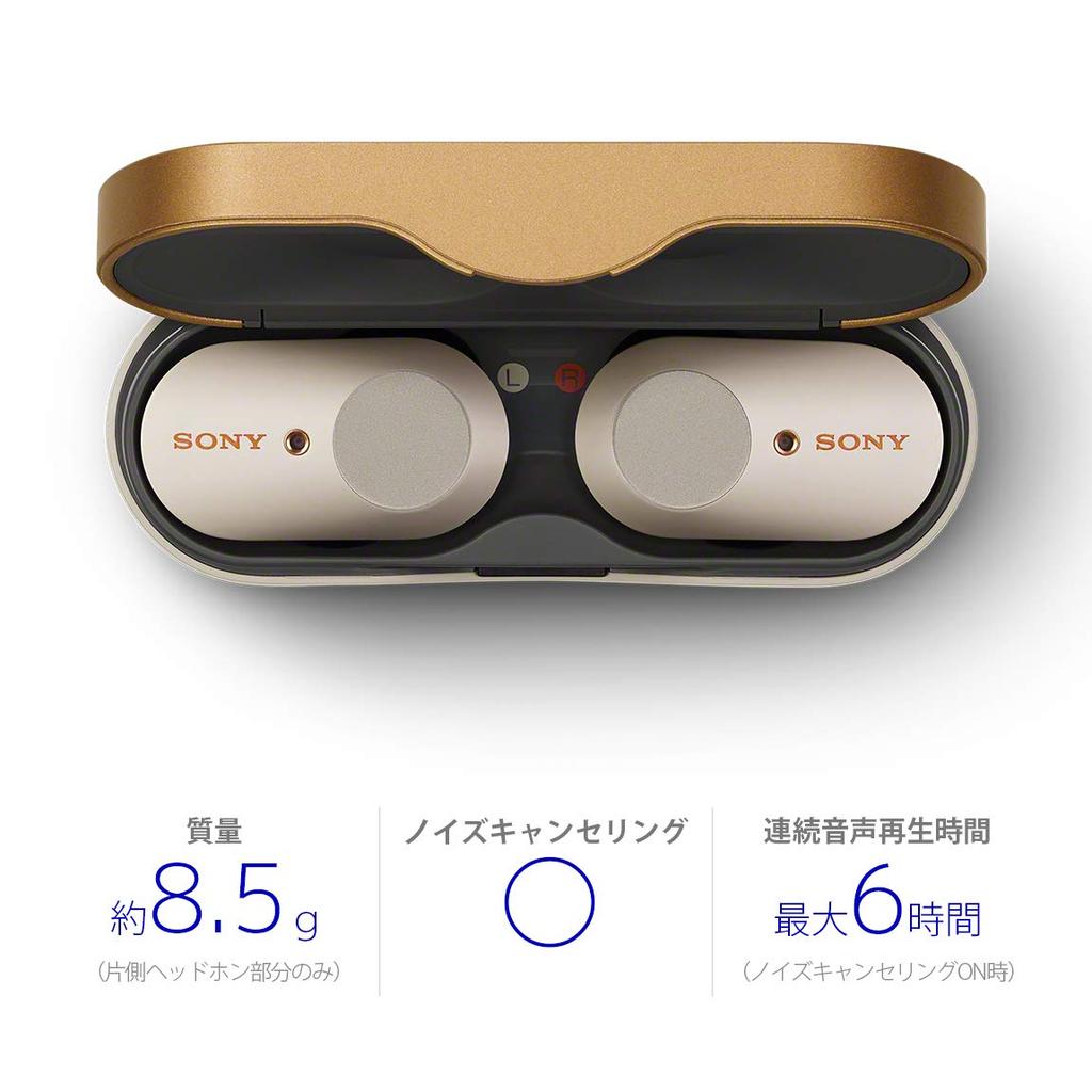 Sony Wireless Earphones Fully Wireless Amazon Alexa Bluetooth Audio Equivalent Up To 6 Hours of Continuous Playback 2019 Model With Microphone 360