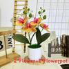 Artificial Phalaenopsis Flowers Decorative Plant For Home And Decoration Event