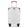 BATANUV F337 20-inch PC Travel Luggage