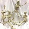 2Pcs Skeletons Decorations Full Body Posable Joints 16'' Skeletons For Halloween