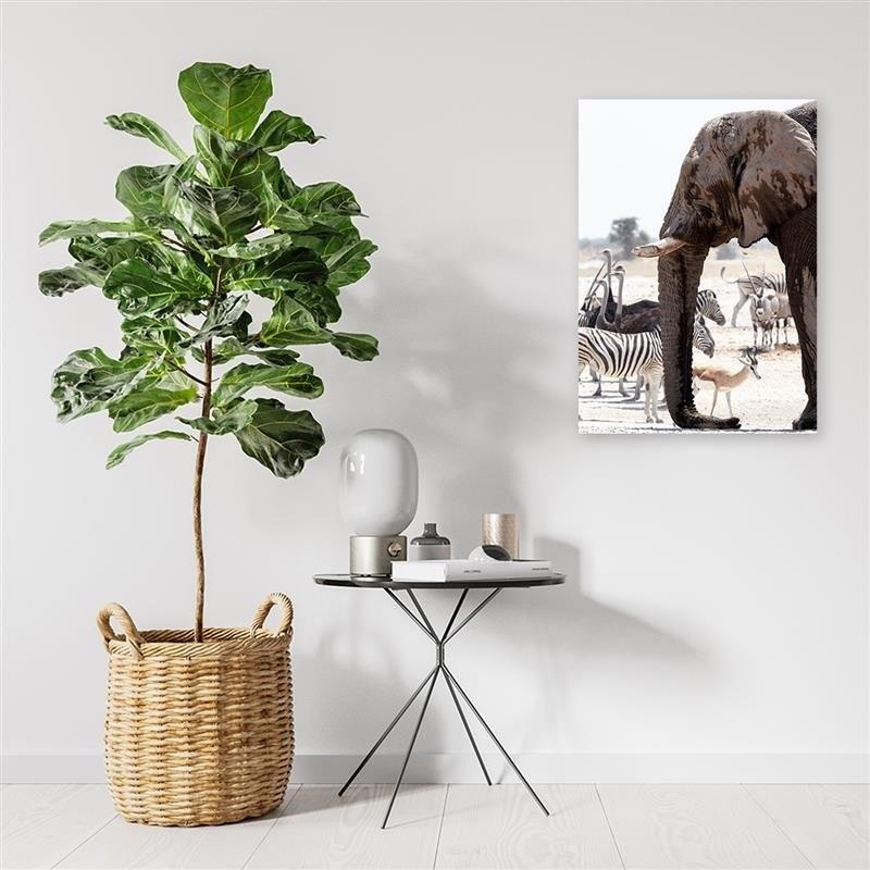 Imprimeu pe pânză, Animale Africa elefant zebre struți antilope