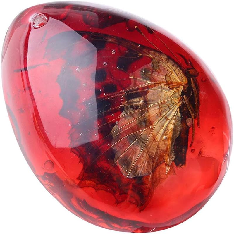 Queenbox Resin Amber Insect Pendant Butterfly Fossil Samples Stones Crystal Home Decorations and Jewelry Making