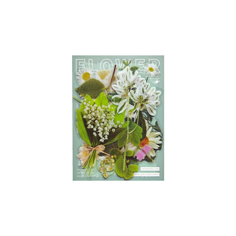 15 pcs Plant and flower PET sticker package Butterfly material sticker hand-decorated hand ledger sticker Junk Journal Supplies