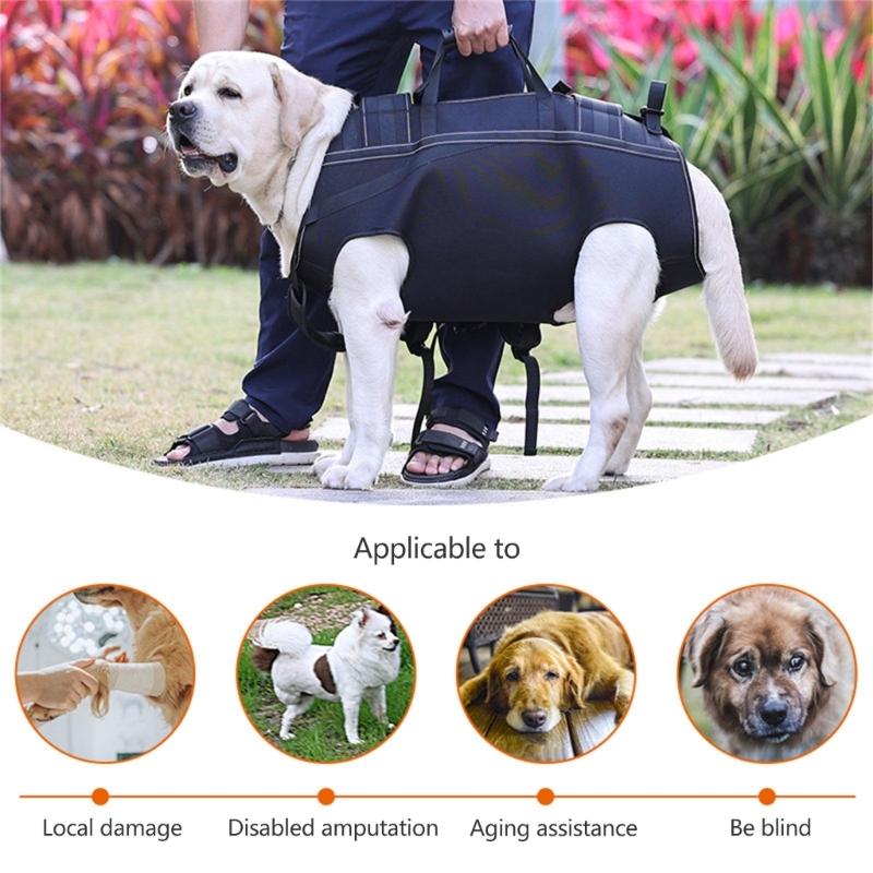 Imbracatura di Supporto per Zampe del Cane con Maniglie per Sollevare e Trasportare per il Recupero Post-Chirurgico delle Articolazioni e delle Zampe del Cane
