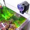 Pet Supplies Automatic Fish Tank Fish Feeder Feeding Device Fish Food Dispenser Aquarium Timer