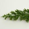 Exquisite DIY Green Pine Cypress Plastic Plant Props for Photography & Jewelry Decoration