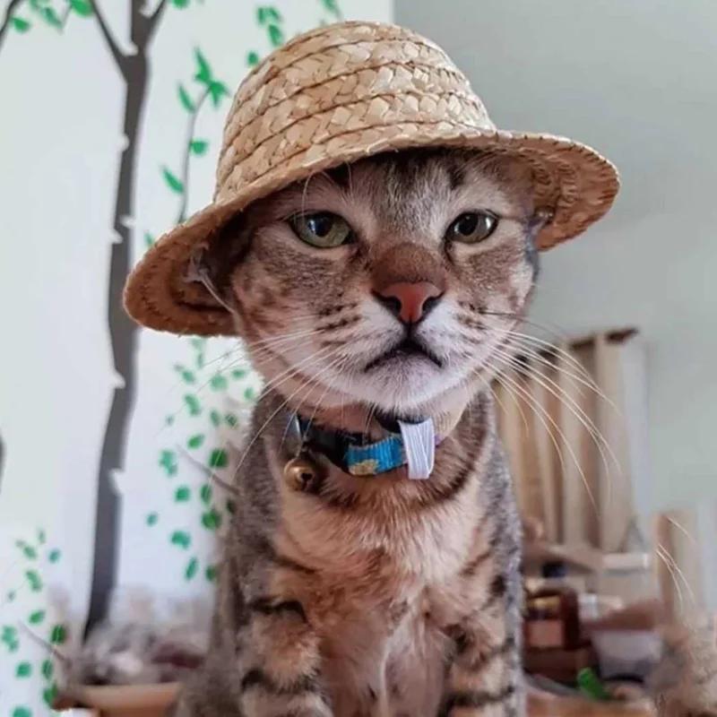 Hawaiian Party Cat Hat Vintage Adjustable Strap Fashion Straw Sun Hat Pet Hats Pet Costume for Cat Dog Pet Clothing Accessories