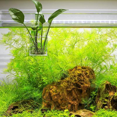 Aquarium-Pflanzenbecher, Grashalter, Acryl, kleine Landschaftspflanzen, Anbautopf, Zubehör, Aquatisch