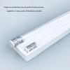 Giant UV Disinfection Lamp: 18W, 30W, 36W Medical Grade Quartz Sterilization Tubes