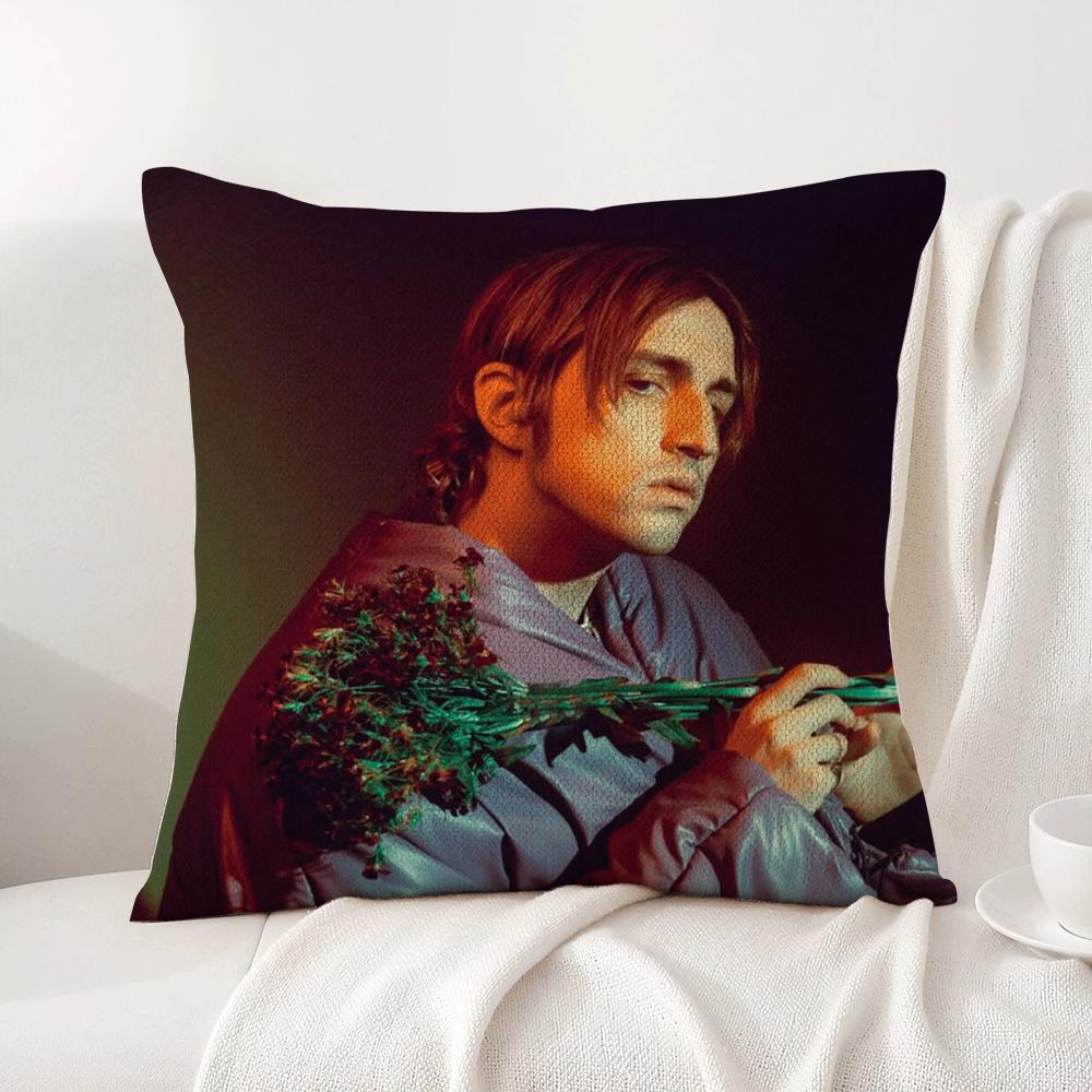 Singer Porter Robinson Pillow Case Natural Linen Organic Fabric Double-Sided Printing Breathable Perfect Gift For Decor