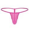 Men's See Through Thongs G-String Low Rise Underwear T-Back Bikini Briefs