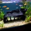 Aquarium Accessories, Plastic Fish Tanks Decoration Cottage Ornament for Fish Tanks Landscape Aquarium Hideouts Cave Decors