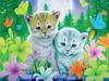5d Diamond Painting Pes DIY Mozaika Zvíře Plný Kulatý Čtverec Diamantové vyšívání Křížkový steh Kamínky Obrázky Nástěnné umění