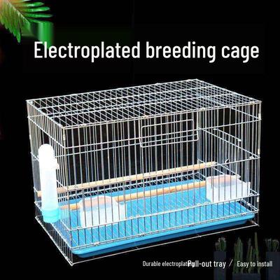 Tierbedarf – Nagetiere