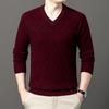 Autumn Winter 100% Sheep Wool Men's Sweater V-Neck Jacquard Smart Casual High Quality Knit Pullovers