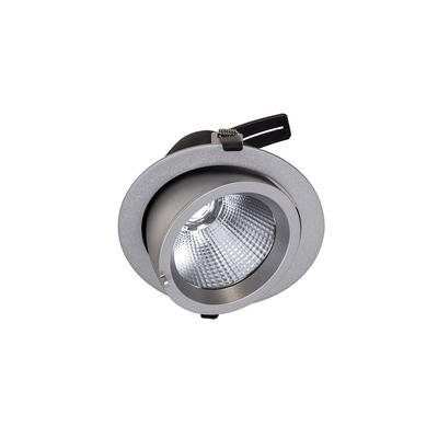 Oprawa Wpuszczana Oczko LED 32W Baluum SV 3600LM DW-305/SV-WW/20 Italux