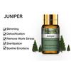 PHATOIL 5/10/30/100ML Juniper Plant Essential Oils with Dropper for Spa Massage Humidifiers Air Purifier Skin Care Natural Fragrance Oil