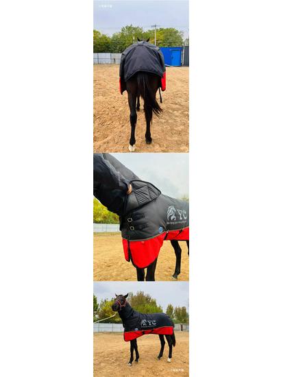 Warm Windproof Waterproof Thickened Winter Horse Rug with Large Neck Protection