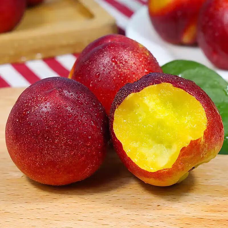 Tianshuguoyuan 126 Nectarines