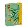 LEGO 40747 Daffodils Block Toys