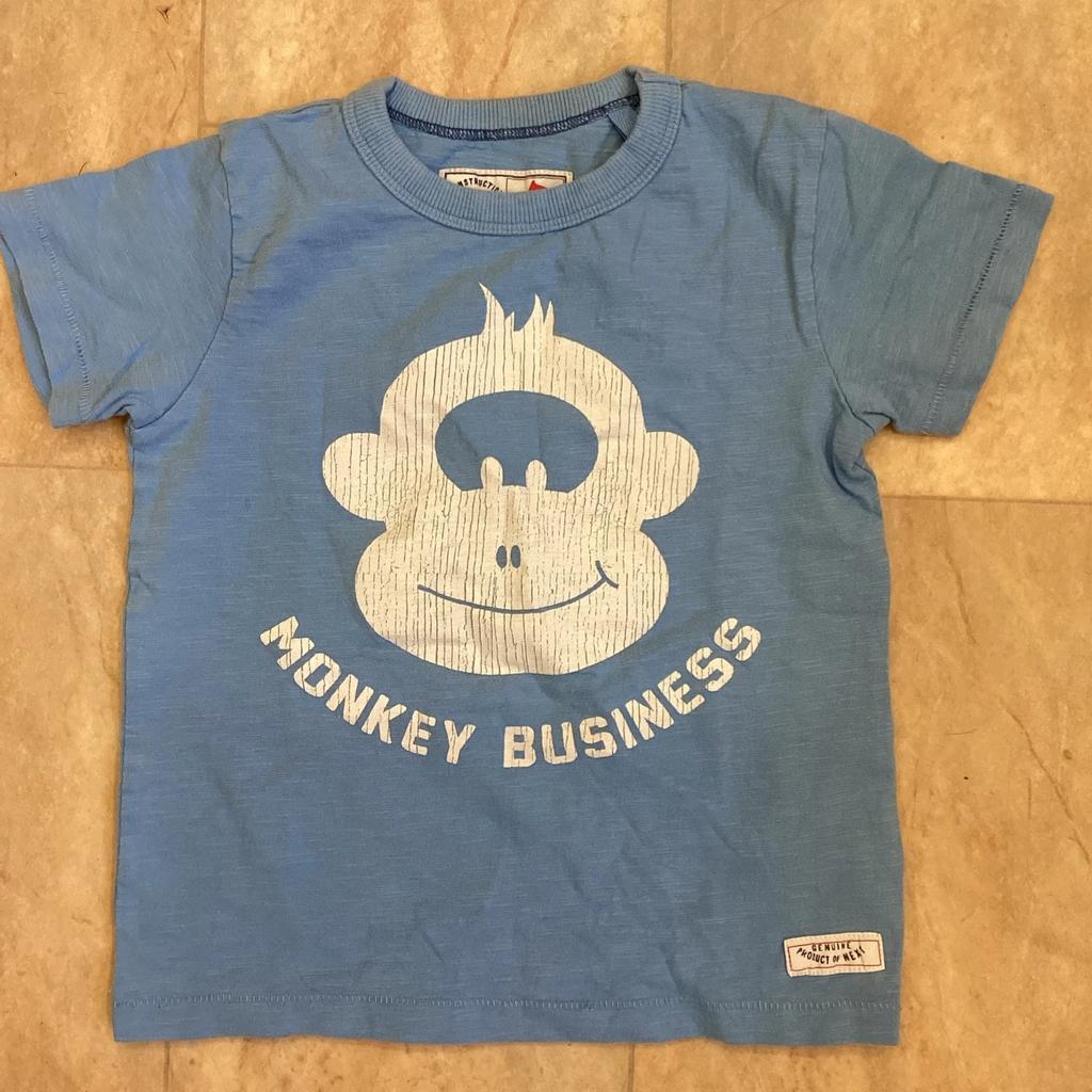 Next Kinder Kleinkind Hellblau Slogan T-Shirt Kurzarm Oberteil Affe Alter 2 - 3 Jahre