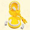 Dental Mold Toy for w/ Giraffe Teeth Mold & Teeth-brush Realistic Pretend for Play Toy Kids & Toddler Educational Teachi