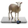 High Precisions Digital Pet Scale With 1g-15kg Capacity For Small Animals And Kitchen Use LCD Display Auto Off Function
