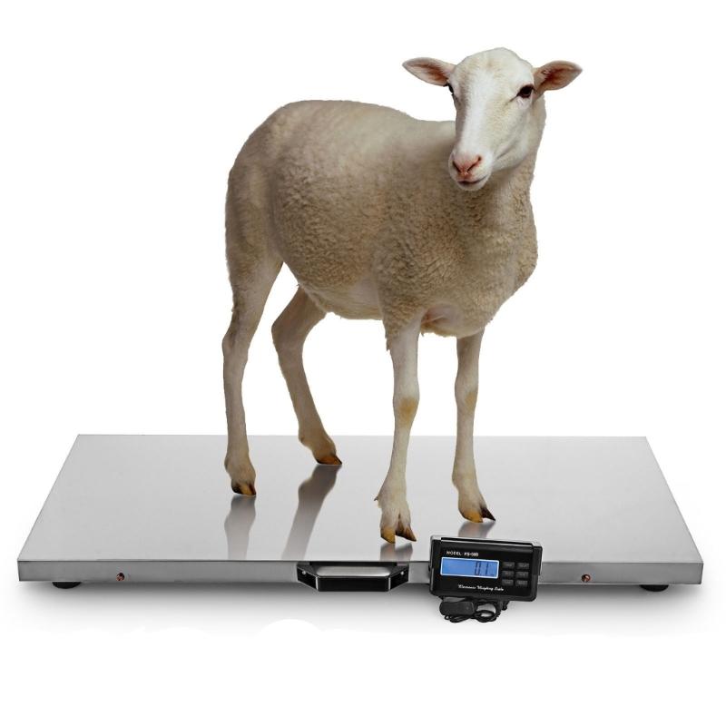 High Precisions Digital Pet Scale With 1g-15kg Capacity For Small Animals And Kitchen Use LCD Display Auto Off Function