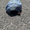 Used Polo Ralph Lauren Cap Pony Embroidery Light Blue