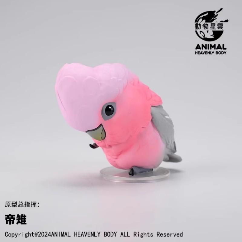 Authentic Animal Planet Heart Wide Body Fat Series Parrot Surprise Blind Box 2Nd Generation Special Edition Collectible Toy Gift