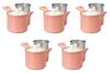 Set of 5 Hanarena SS Lightweight Teapots X Arita Ware Teapots by Setomonohonpo (Red, Small) [9 9.5cm (350cc)]