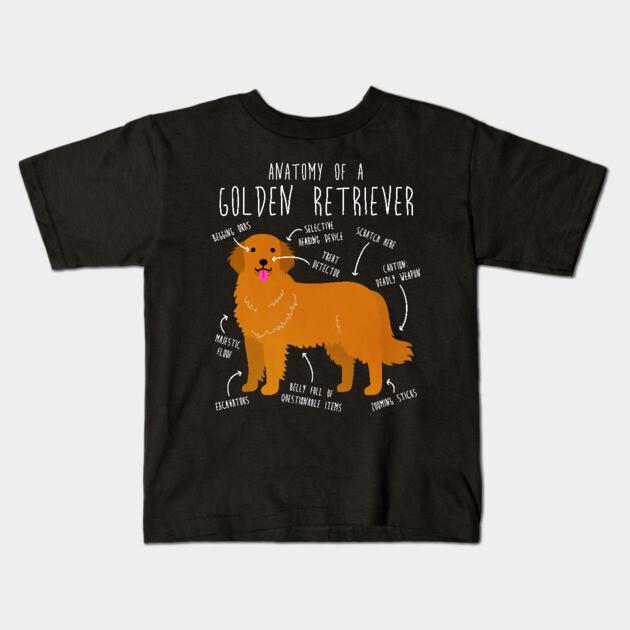 Boys Girls Soft Cotton Graphic Tees Golden Retriever Anatomy Breathable Daily School Wear Kids T-Shirts