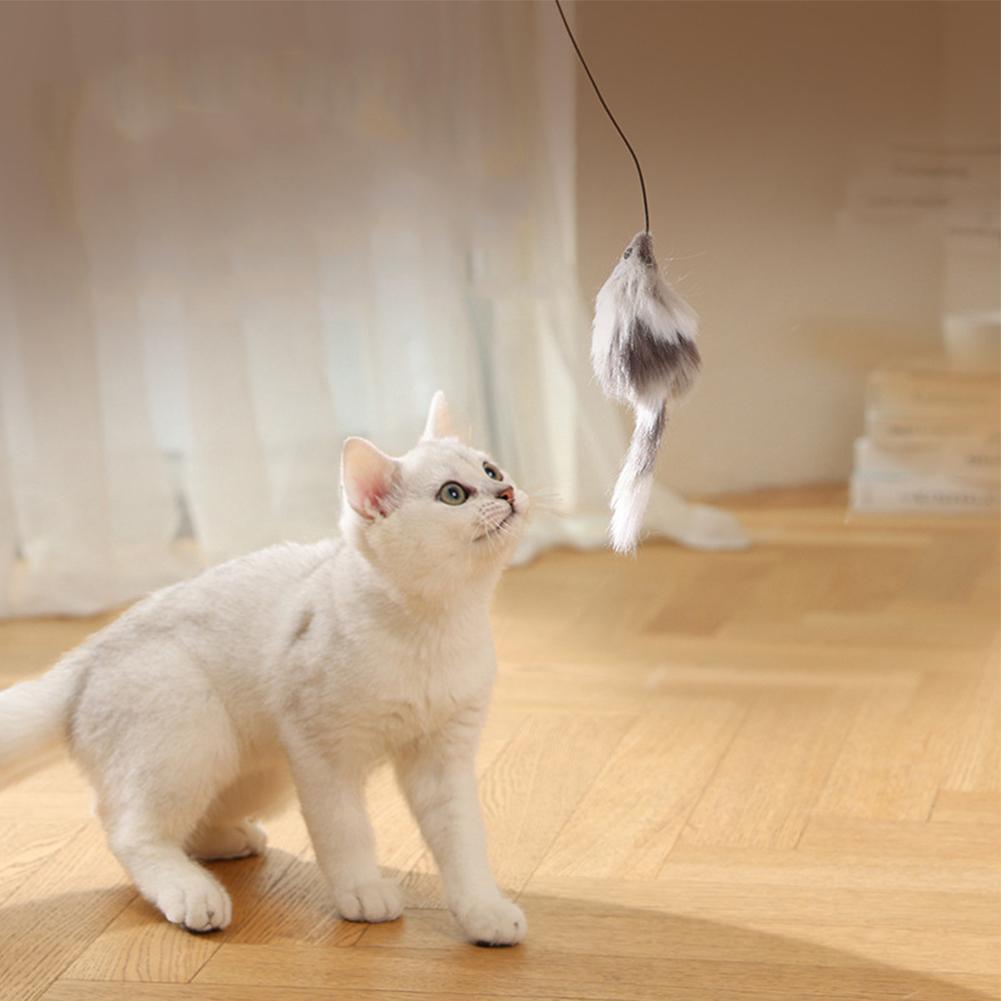 Interactive Cat Toys Automatic Rolling Cat Toy Power Ball Mice Cat Toy
