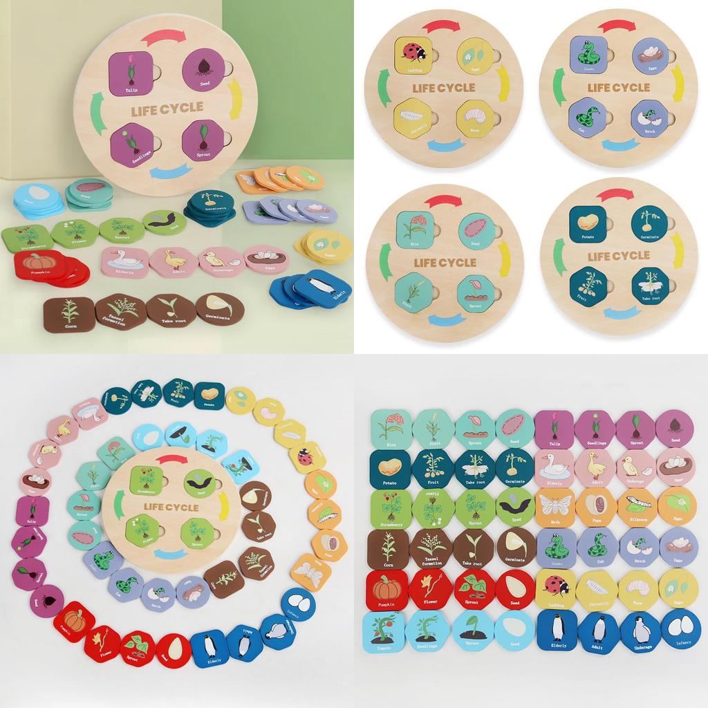 Wooden Nature Themed Lifecycle Puzzle Toy For Children Cognitive Skills Building